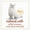 Purina Fancy Feast Wet Cat Food Natural Gourmet Naturals Beef Recipe in Wet Cat Food Gravy - (Pack of 12) 3 oz. Cans