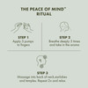 Origins Peace of Mind On-the-Spot Relief | Relaxing Aromatherapy Experience With Eucalyptus, Peppermint & Basil