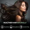 Salvia Pure Horse Chestnut Oil - Firms, Hydrates, and Tones Skin | Cosmetic Grade for Skincare, Hair Care, and DIY |