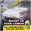 Meguiar's Hybrid Ceramic Wash & Wax,48 Oz