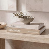 Aesthetic Decorative Books Set of 2 - Stylish Boxes for Coffee Table Decor