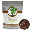 Perfect Plants Money Tree Potting Soil, 4 qt, Indoor Coco Coir Mix