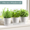 Barnyard Designs Indoor Herb Garden Planter Pots with Tray Set/3 (White)