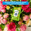 Chrysal Flower Boost  Clear Flower Food Packets for Flower Arrangements & Bouquets  Floral Supplies for Fresh