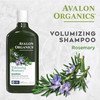Avalon Organics Shampoo, Volumizing Rosemary, 11 Oz