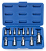 Neiko 10085A Tamperproof Torx Plus Bit Socket Set | 12 Piece | 8 IPR - 60 IPR | 5 Point Star | Cr-V and S2 Steel |