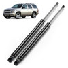 ARANA 6156 Rear Hatch Struts for Chevy Suburban/Tahoe 2007-2014, 2 Pcs