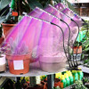 LEOTER Grow Light for Indoor Plants - Upgraded Version 80 LED Lamps with Full Spectrum & Red Blue Spectrum, 3/9/12H