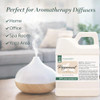 GreenHealth Peppermint Essential Oil  16 fl oz | 100% Pure & Uncut | Heavy-Duty Plastic Jug | FDA Compliant,