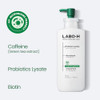 LABO.H Scalp Strengthening Shampoo for Hair Growth & Anti-Loss | Vegan Ceramide Haircare Routine with Rosemary Oil,