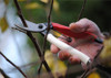 Okatsune 103 Bypass Pruners General Purpose Medium (One Pack)
