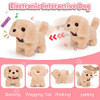 G.C 13Pcs Dog Toys for Kids Girls, Walking Barking Electronic Interactive Stuffed Dog Plush with Carrier & Accessories