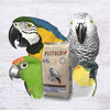 Psittacus High Energy Hand-Feeding Formula 2.2 lb | Diet for Baby African Greys, Macaws and Other African Parrots |