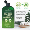 First Botany Tea Tree Mint Shampoo & Conditioner for Men & Women - Pure Tea Tree & Peppermint Oil - Fights Hair Loss,