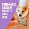 Wellness Old Mother Hubbard Classic P-Nuttier Dog Biscuits, Natural Training Treats, Peanut Butter Flavor, Large Size,