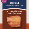 Natural Balance Limited Ingredient Adult Dry Dog Food - Balanced Nutrition for Small Breeds - Grain-Free, Soy-Free