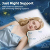 Sasttie Firm Pillows Queen Size Set of 2, Bed Pillows for Side, Back, and Stomach Sleepers - Oeko-Tex Certified Down