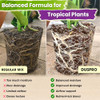 DUSPRO Pre-Mixed 5in1 Tropical Potting Mix, Drainage & Root Airflow, 8QT