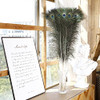 Soarer Long Peacock Feathers Bulk 32-35inch 25Pcs Feathers for Crafting