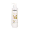 Luxliss Keratin Daily Care Shampoo and Conditioner Set, 2 Pack (16 Fl Oz each), Moisturizing, Anti-frizz, Repairing,