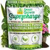 Mycorrhizal Fungi Root Enhancer, 8oz Powder Makes 100 Gallons