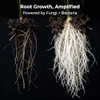 Real Growers Recharge  8oz | Mycorrhizae Soil Microbe Inoculant for Living Soil & Coco Coir | Improves Nutrient