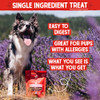 Stella & Chewy's Freeze-Dried Raw Chicken Heart Dog Treats - Single Ingredient, No Additives - Premium Training Treats