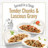 Purina Fancy Feast Petites Gravy Wet Cat Food Variety Pack, 2.8 oz, 24-Pack