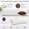 Sobakawa Traditional Buckwheat Standard Size Pillow Organic Cotton with Natural Technology for Cool Sleep, Neck