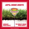 Pennington The Rebels Tall Fescue Grass Seed Mix 7 lb