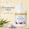 Ginger Lily Farms Botanicals All-Purpose Liquid Hand Soap Refill, Fragrance Free, 100% Vegan & Cruelty-Free, 1 Gallon,