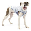 Kurgo Core Cooling Vest, Medium