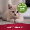 Natures Miracle Cat Stain & Odor Remover, Enzymatic Cleaner, 1 gal