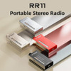 FiiO RR11 Portable HiFi FM Stereo Radio Receiver with Analog PVR Tuning, BASS+3D Sound Effects, 64MHz-108MHz (Titanium