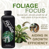 Growth Technology GT Foliage Focus - Liquid Indoor Plant Food for Houseplants, Tropical Plants, Aroids, Ferns and