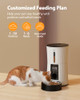 Petory Timed Automatic Cat Feeder - 4L Dry Food Dispenser for Cats and Dogs