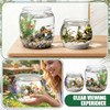 Cosblank 2 Pcs 4 Gallon & 1 Gallon Plastic Fish Bowl Large Round Clear Betta Aquarium Fish Tank Shatterproof Goldfish