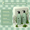 Luseta Rosemary Mint Strengthening Shampoo and Conditioner Set