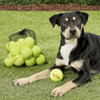 Tourna Pressureless Tennis Balls with Vinyl Tote (45 pack of balls)