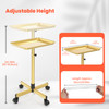 TASALON Rolling Salon Tray,Mobile Styling Station with Wheels Aluminum Rolling Tray Trolley for Salon Essentials,