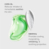 Germaine de Capuccini Exfoliating Face Scrub | Refreshing Daily Cleanser to Brighten and Eliminate Blackheads | Dry