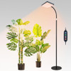 FECiDA 2026 Floor Lamp Grow Light, Standing Grow Lights with Stable Round Base for Tall Indoor Plants, Bonsai Tree,