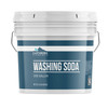 Earthborn Elements Washing Soda (1 Gallon), Soda Ash, Sodium Carbonate, Non-Toxic Laundry Booster