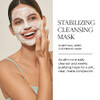 Natura Bissé Stabilizing Cleansing Mask, Purifying Deep Cleansing Mask, Cleanses, Purifies & Mattifies, For Normal,