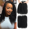 2 Bundles Afro Kinkys Bulk Human Hair Black Afro Kinky-Curly Human Hair Bundles 16 Inch for Dreadlock Extensions Locs