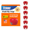 TERRO Fruit Fly Trap, 6-Pack Indoor Fly Traps with 270 Days Lure Supply