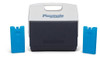 Igloo Maxcold Ice Block,4 Pieces, Ice Block