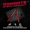 Beast Gear Jump Rope, Jump Ropes for Fitness, Premium Aluminium Skipping Rope for Men Women - Boxing, MMA, HIIT,