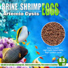 BNYEE AAA Brine Shrimp Eggs - 90%+ Guaranteed Hatch Rate, Nutrient-Rich Live Fish Food for Baby Fry, Guppies, Bettas &