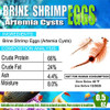 BNYEE AAA Brine Shrimp Eggs - 90%+ Guaranteed Hatch Rate, Nutrient-Rich Live Fish Food for Baby Fry, Guppies, Bettas &